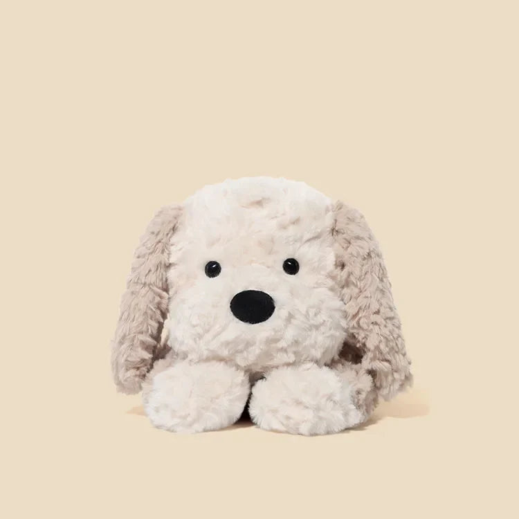 One Dog, Endless Comfort: Our Jooki Dog Story
